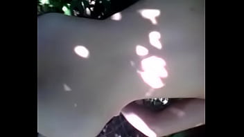 Chó Săn Trong Rừng Sâu