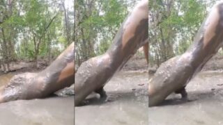 Cowok Ketagihan Seks Yang Kesepian Ngentot Di Lumpur Dalam Video Dewasa