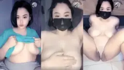Dmx Wolfie Mango Live